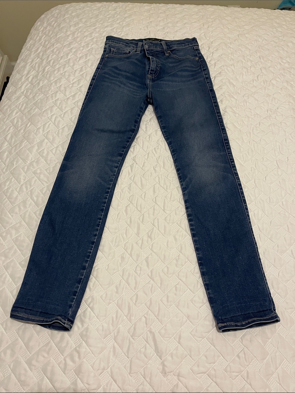 Lucky Brand Women's Jeans in Indigo Fade Bridget skinny 6/28 regular